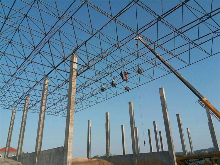 青海加气站钢结构网架案例10
